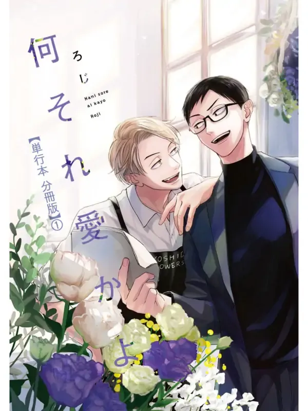 Nani Sore Ai ka yo