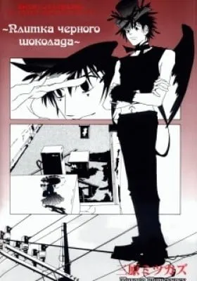 Slice of Black Chocolate