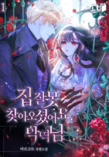 You’Ve Come To The Wrong House, Villain